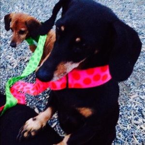 Meet your Posher, Stacey